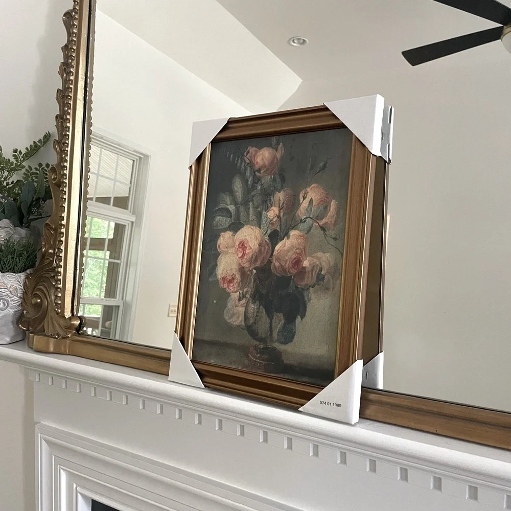 12”x 16” ANTQUE FLORAL NEW Framed CNVS Threshold for Target Wall Art